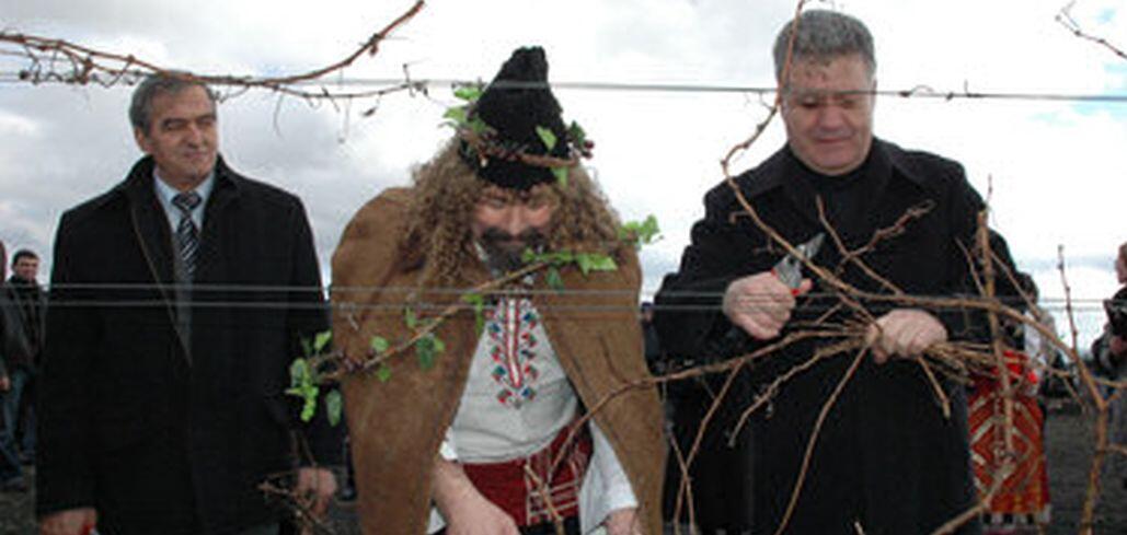 Традиции и народно веселие на Трифон Зарезан в Карнобат