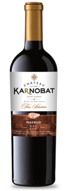 Chateau Karnobat