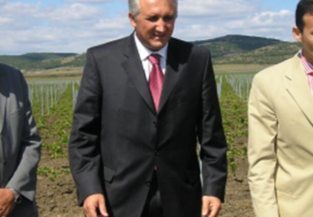 Модернизацията на винпрома