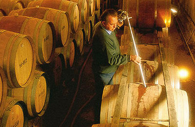 The most mellow and aromatic grapes are found in the new "Karnobat grape brandy"