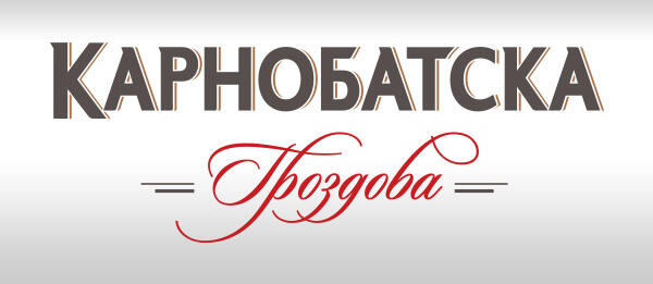 Ракиени турове за чужди летовници