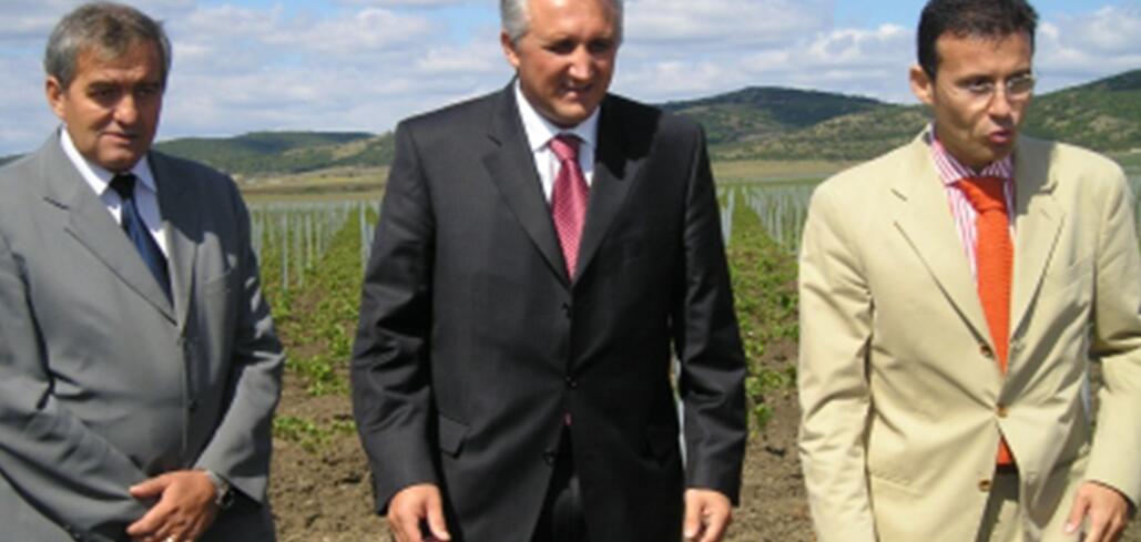 Модернизацията на винпрома